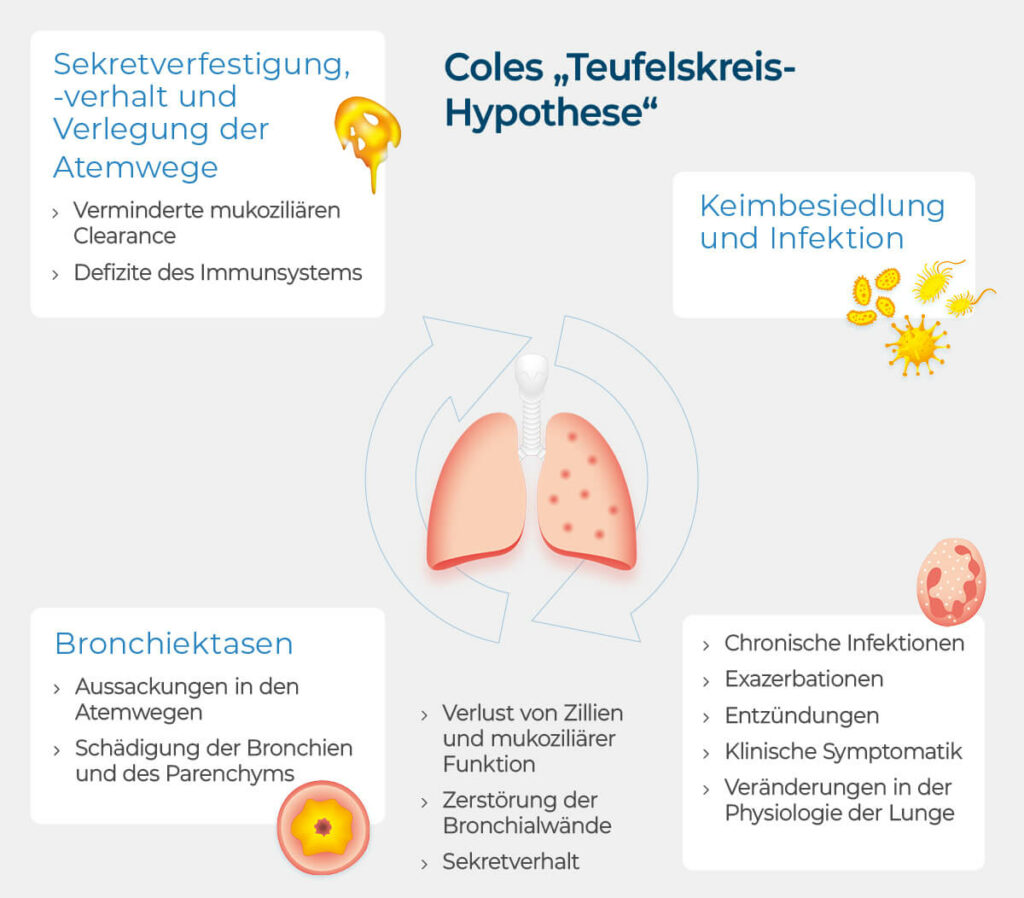 Bronchiektasen Coles Teufelskreis-Hypothese